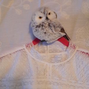 Ann Taylor Loft white blouse